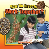 How_Do_Insects_Work_Together_
