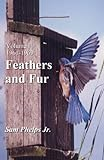 Feathers_and_fur