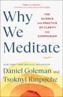 Why_we_meditate