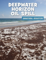 Deepwater_Horizon_oil_spill